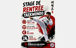Stage de rentrée Taekwondo à Lisses